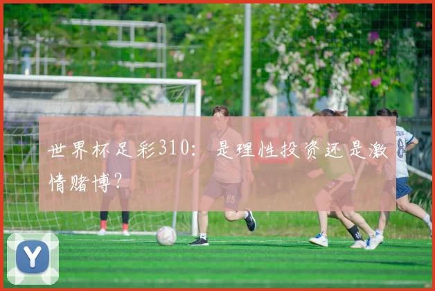 世界杯足彩310：是理性投资还是激情赌博？