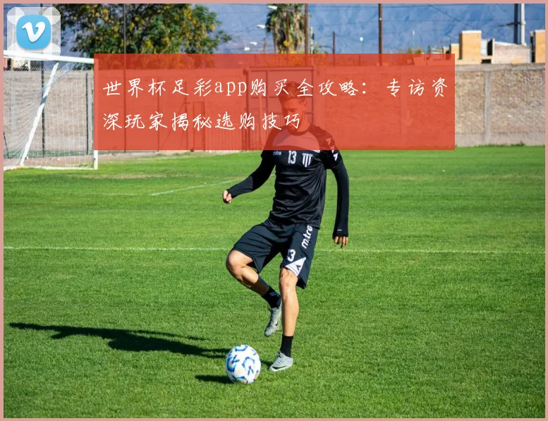 世界杯足彩app购买全攻略：专访资深玩家揭秘选购技巧