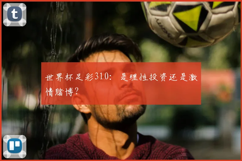 世界杯足彩310：是理性投资还是激情赌博？
