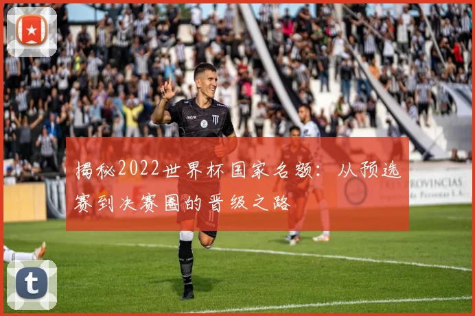 揭秘2022世界杯国家名额:从预选赛到决赛圈的晋级之路