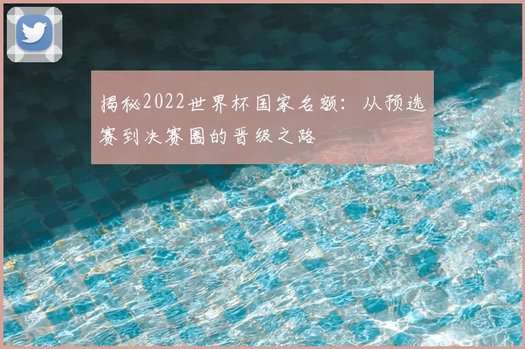 揭秘2022世界杯国家名额:从预选赛到决赛圈的晋级之路