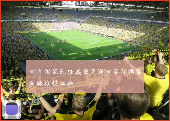 中国国家队征战俄罗斯世界杯预赛关键战役回顾