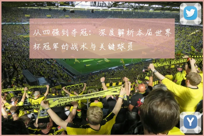 从四强到夺冠：深度解析本届世界杯冠军的战术与关键球员