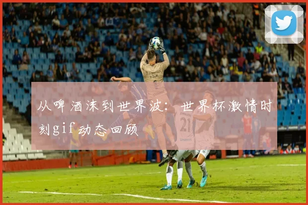 从啤酒沫到世界波：世界杯激情时刻gif动态回顾
