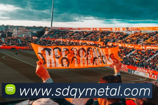 App Interface Preview